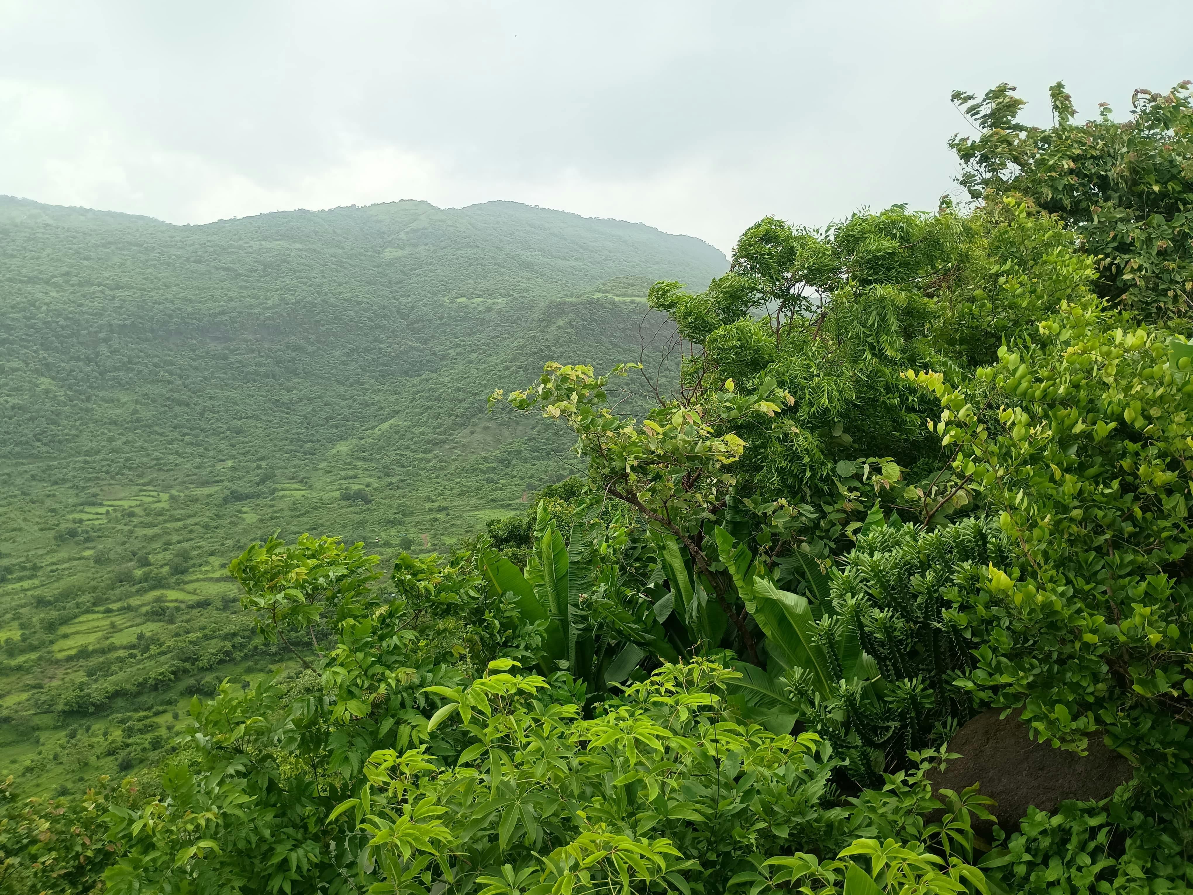 Durgesh Prasad, Durgesh, Valley