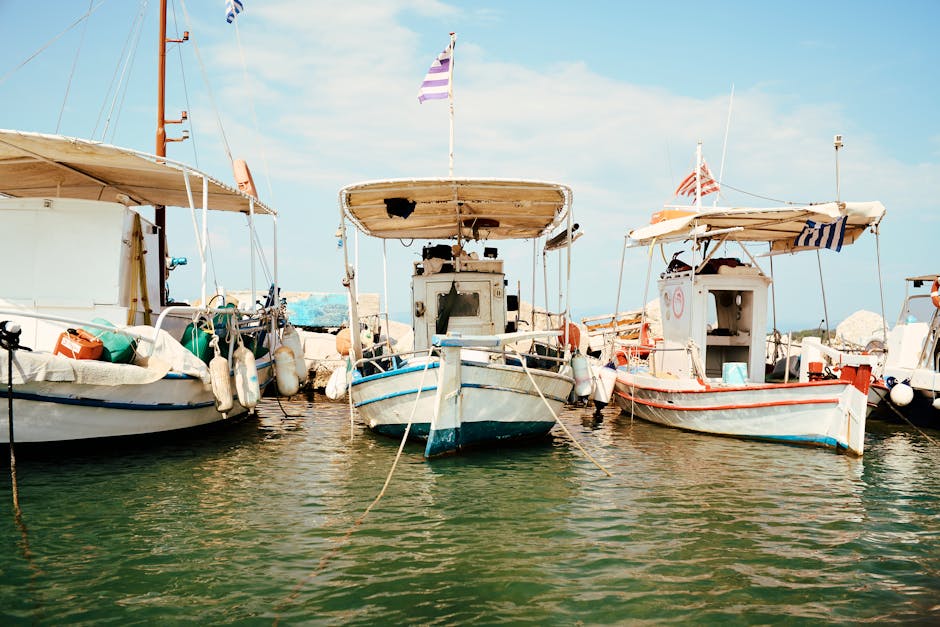 Cultural Identity and Language Preservation: Protecting Heritage in a Modern World