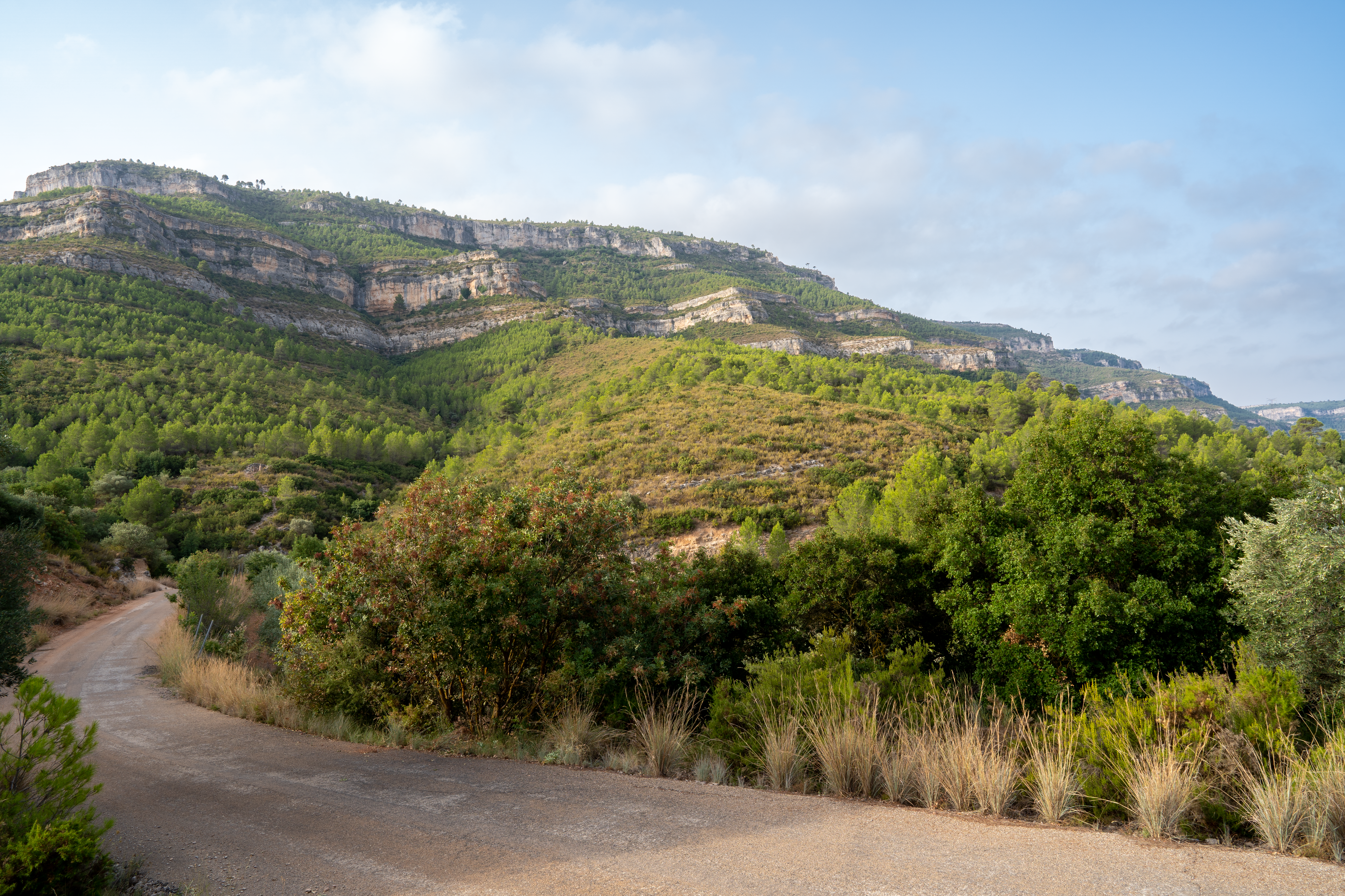 Explore the lush, rolling hills of Cortes de Pallás, Spain in this serene mountain landscape.