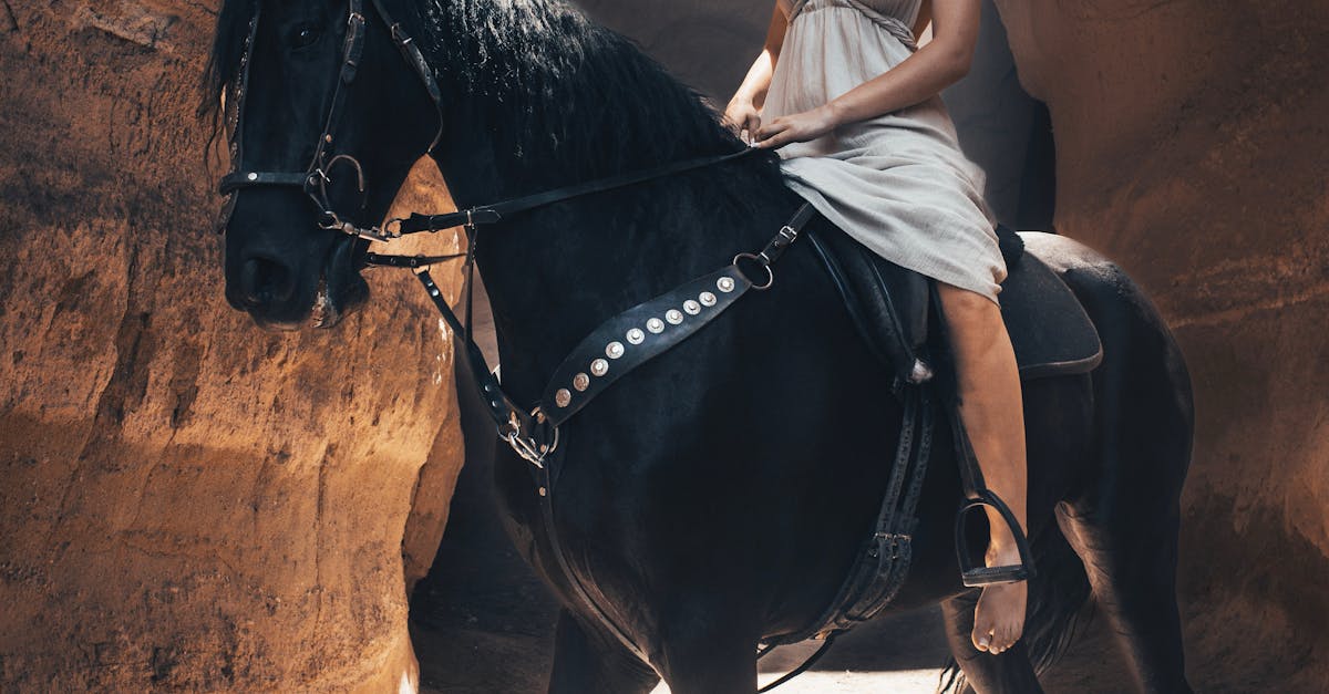 揭開古人類生活面貌 從遺骸化石與洞穴痕跡還原歷史真相