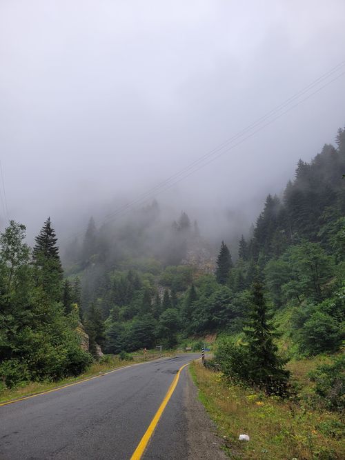 Free Scenic mountain road cutting through lush green forest under a misty sky. Stock Photo