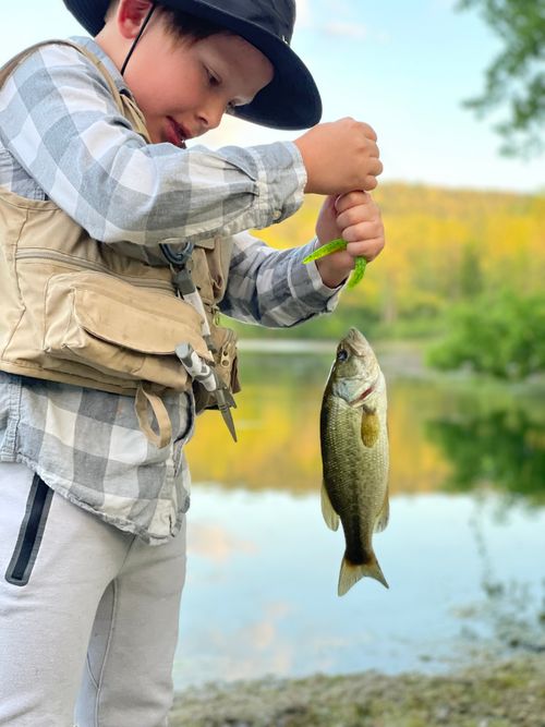 Free A young boy proudly displays his fish catch during a summer day at a scenic lake. Stock Photo