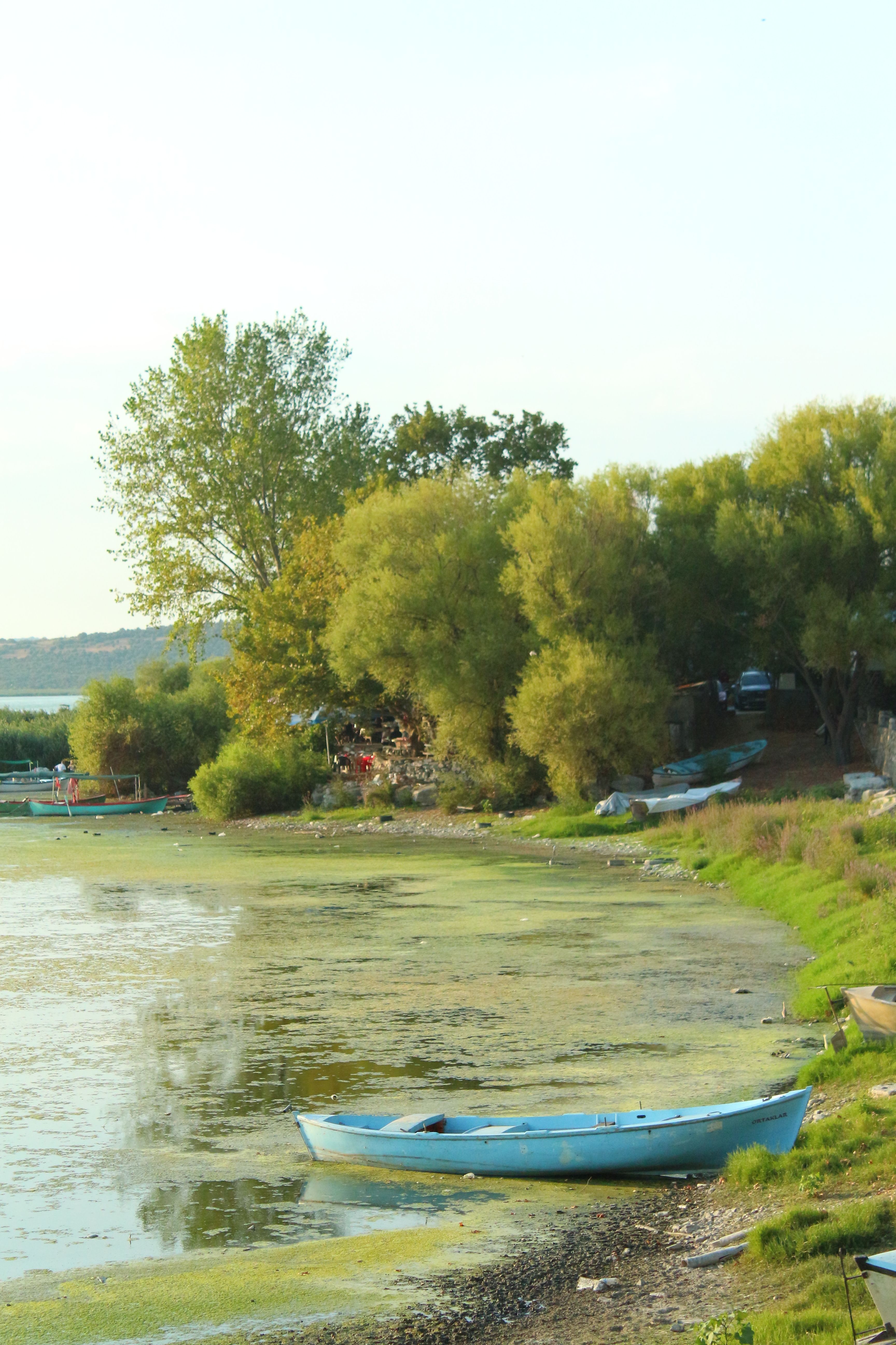 A peaceful lakeside view featuring boats and lush trees on a sunny day.