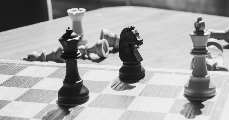 Pure Players : Stratégies E-commerce 2026
