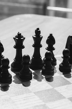 Monochrome photo of black chess pieces on a board with sunlight casting shadows.