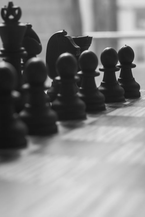 Free A black and white photo of chess pieces aligned on a board, ready for play. Stock Photo