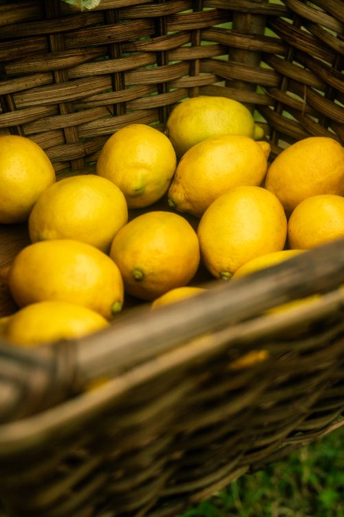 Free Vibrant yellow lemons in a rustic basket showcase a fresh harvest in an outdoor setting. Stock Photo