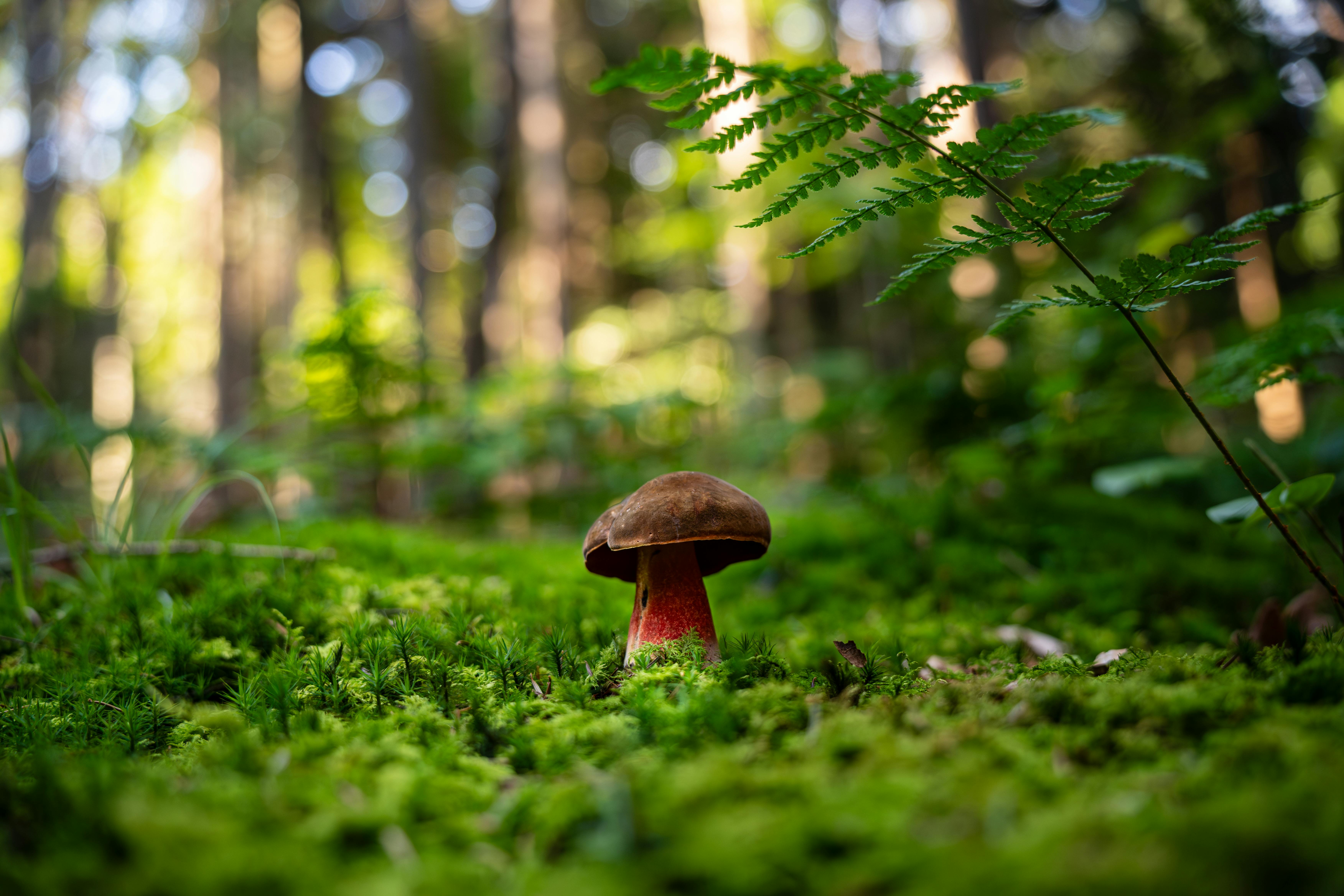 Unexpected Tips to Boost Engagement and Skyrocket Growth