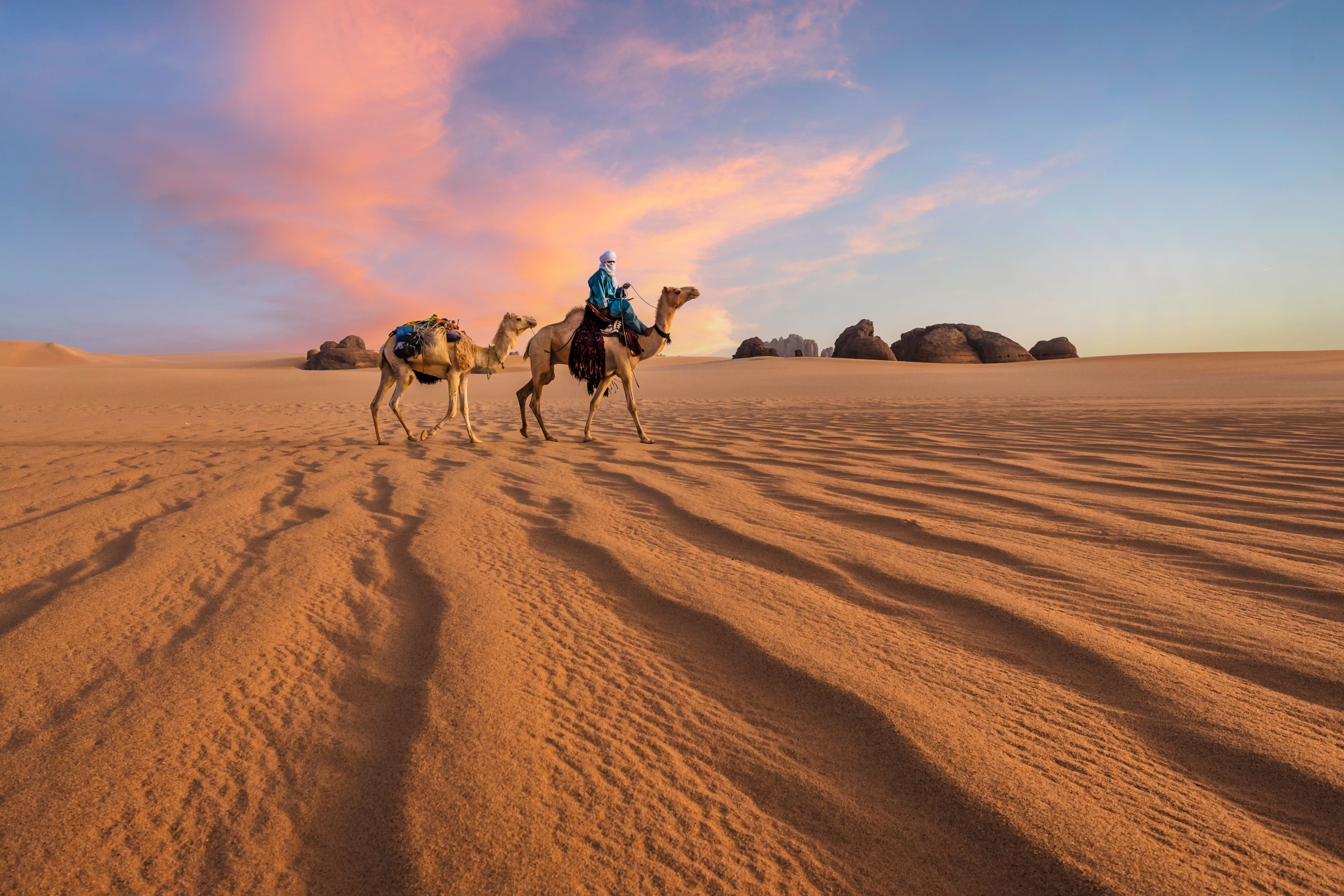 афротропические пустыни и ксерофитные кустарники illustration 1