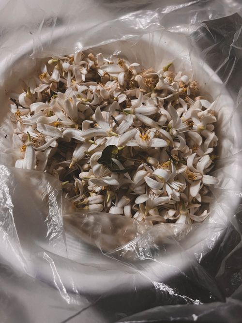 Free Detailed view of a basket filled with delicate white jasmine flowers, evocative of nature's beauty. Stock Photo
