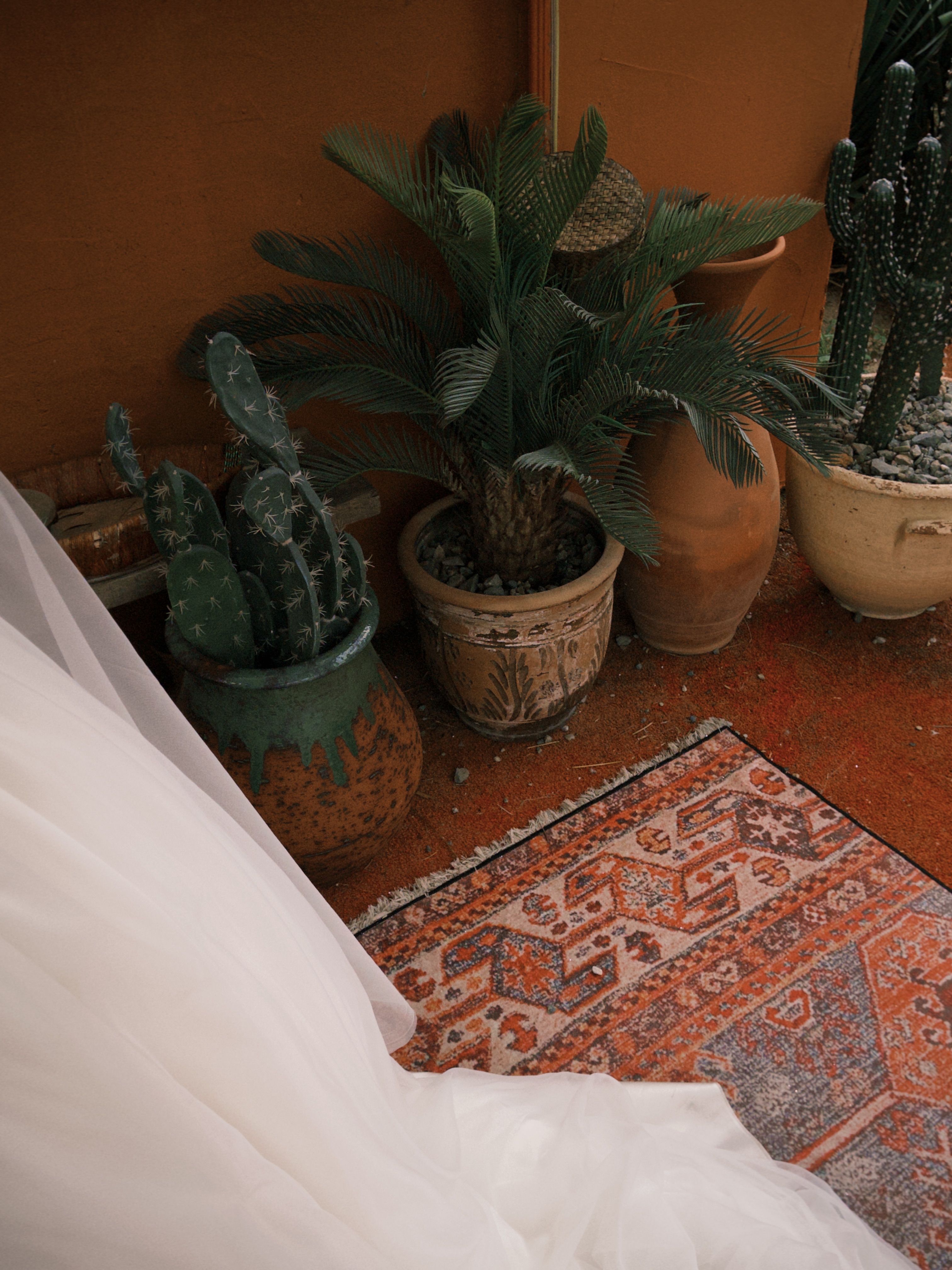 Bohemian Kitchen Earthy Tones Runner Rug Plants Photos, Download The ...