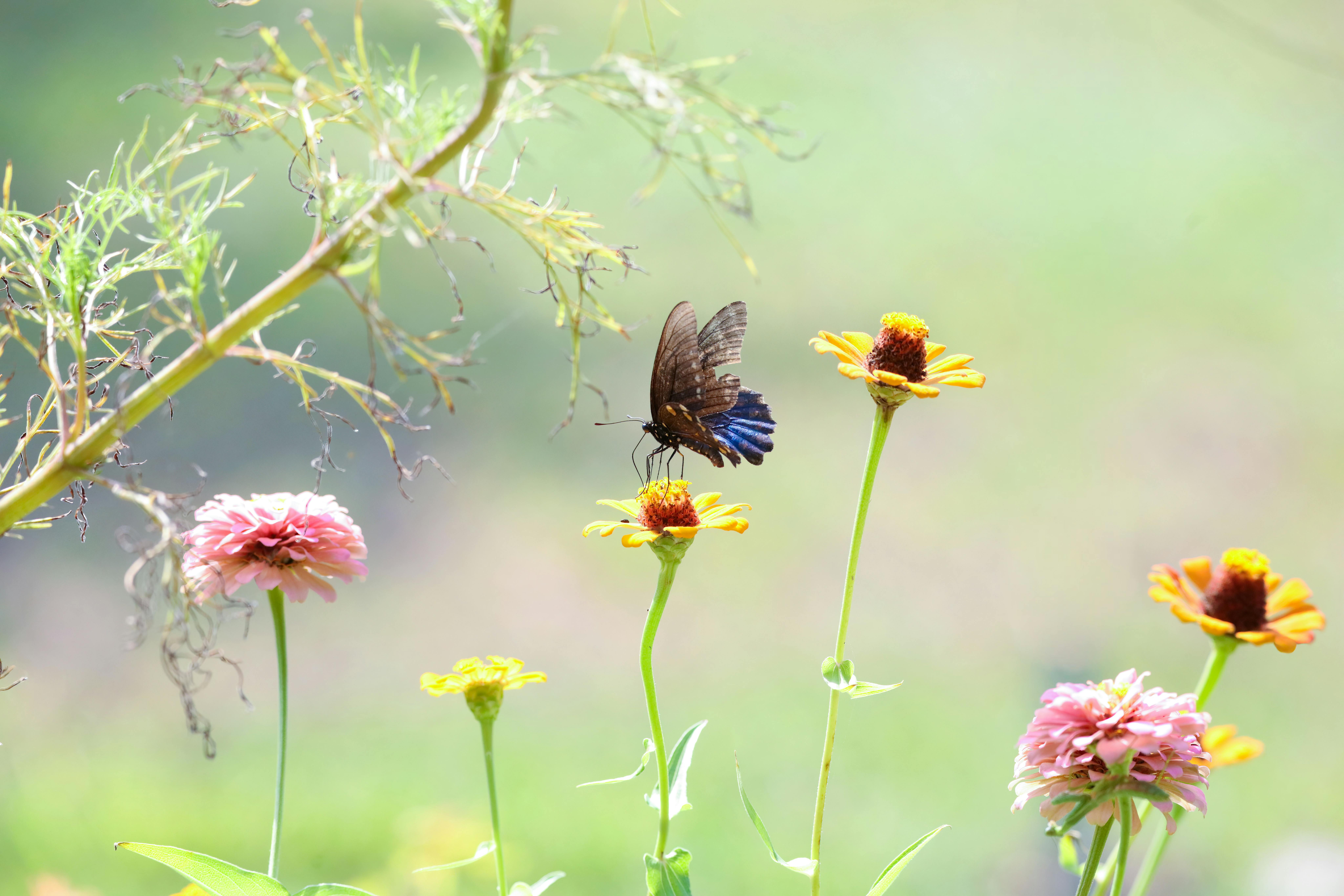 Eco-Friendly Beauty Brands Revolutionizing the Industry