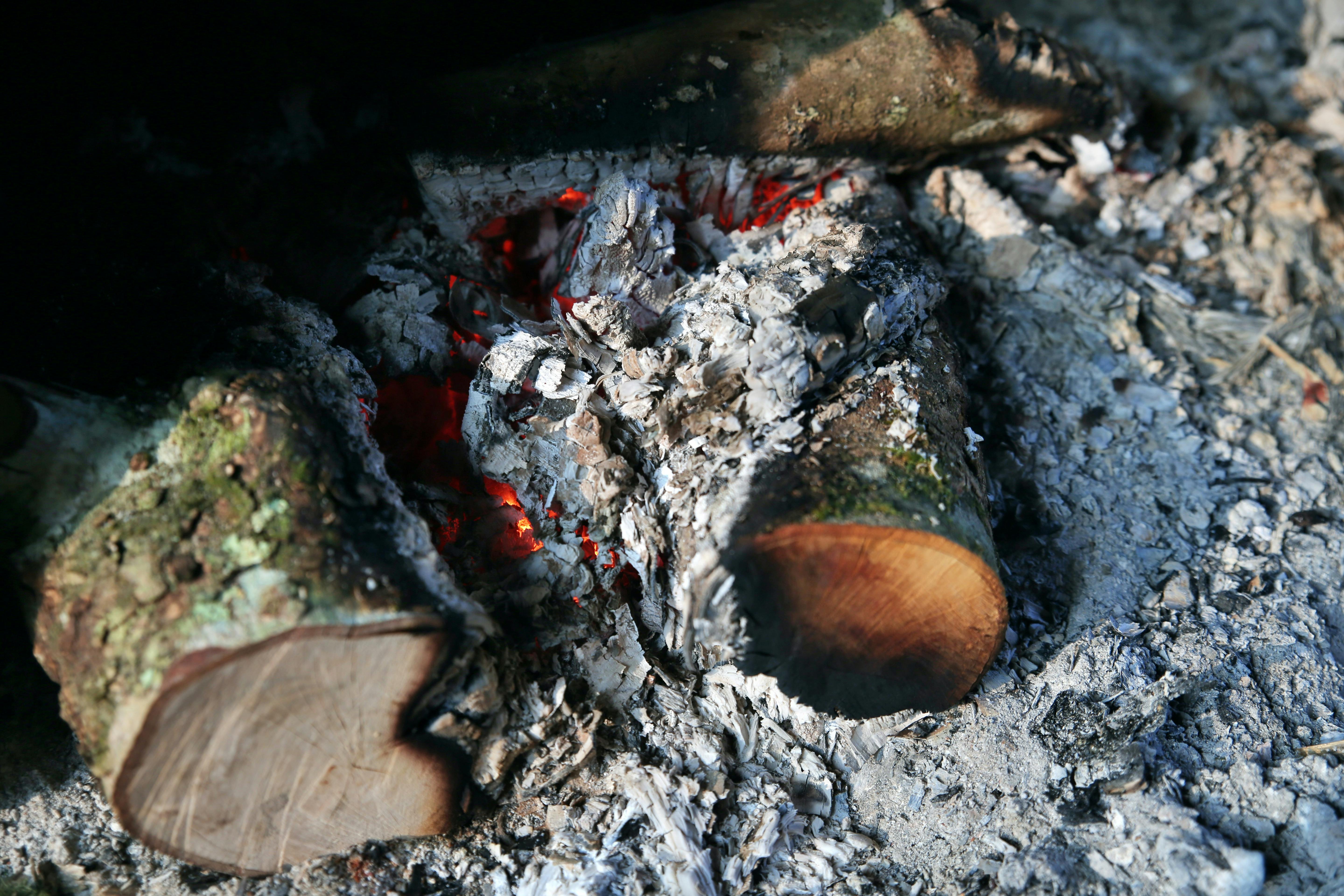 Close-up of burning logs surrounded by ashes in a fire pit, showcasing glowing embers.