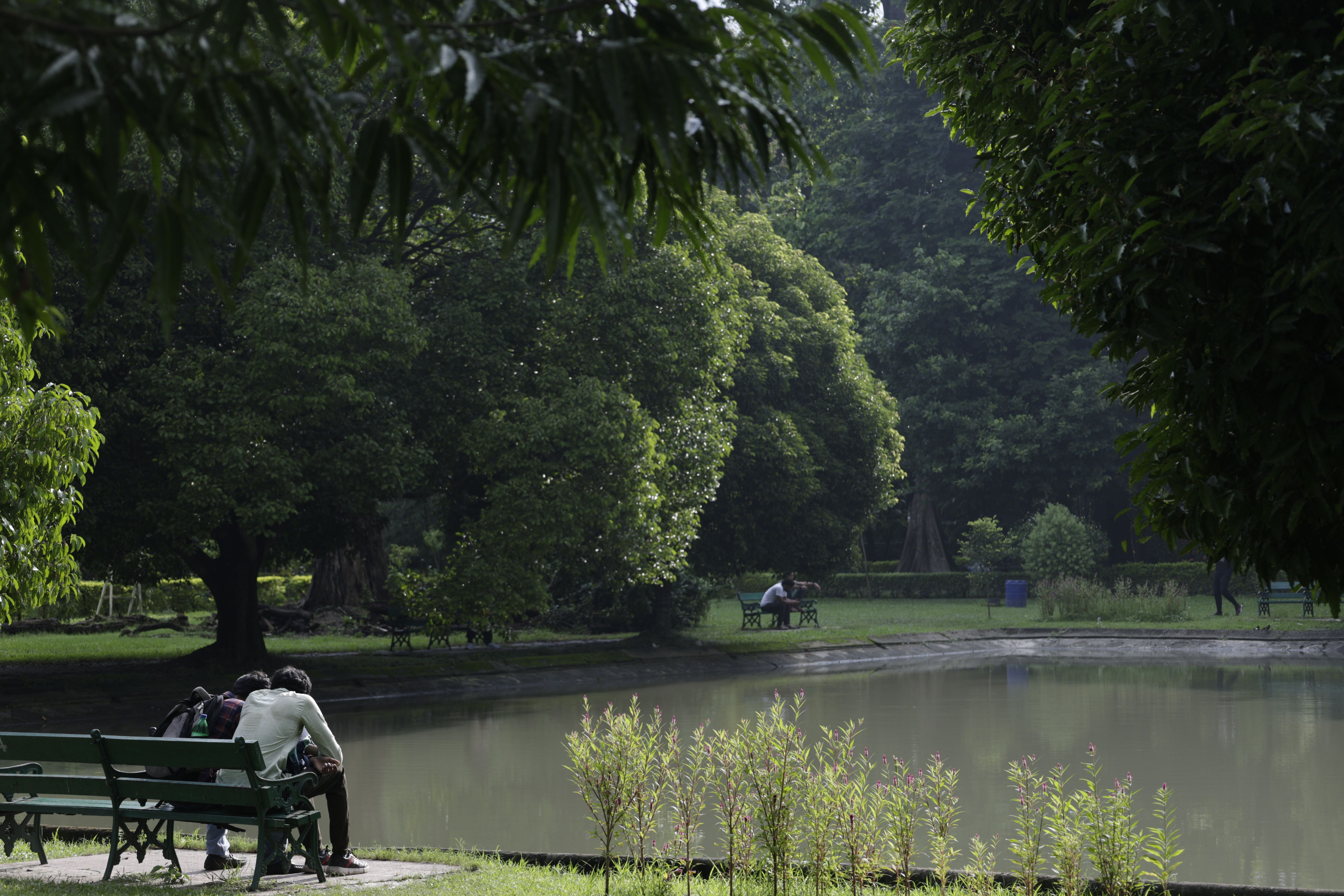Peaceful park with lush greenery and people relaxing on benches by a pond.
