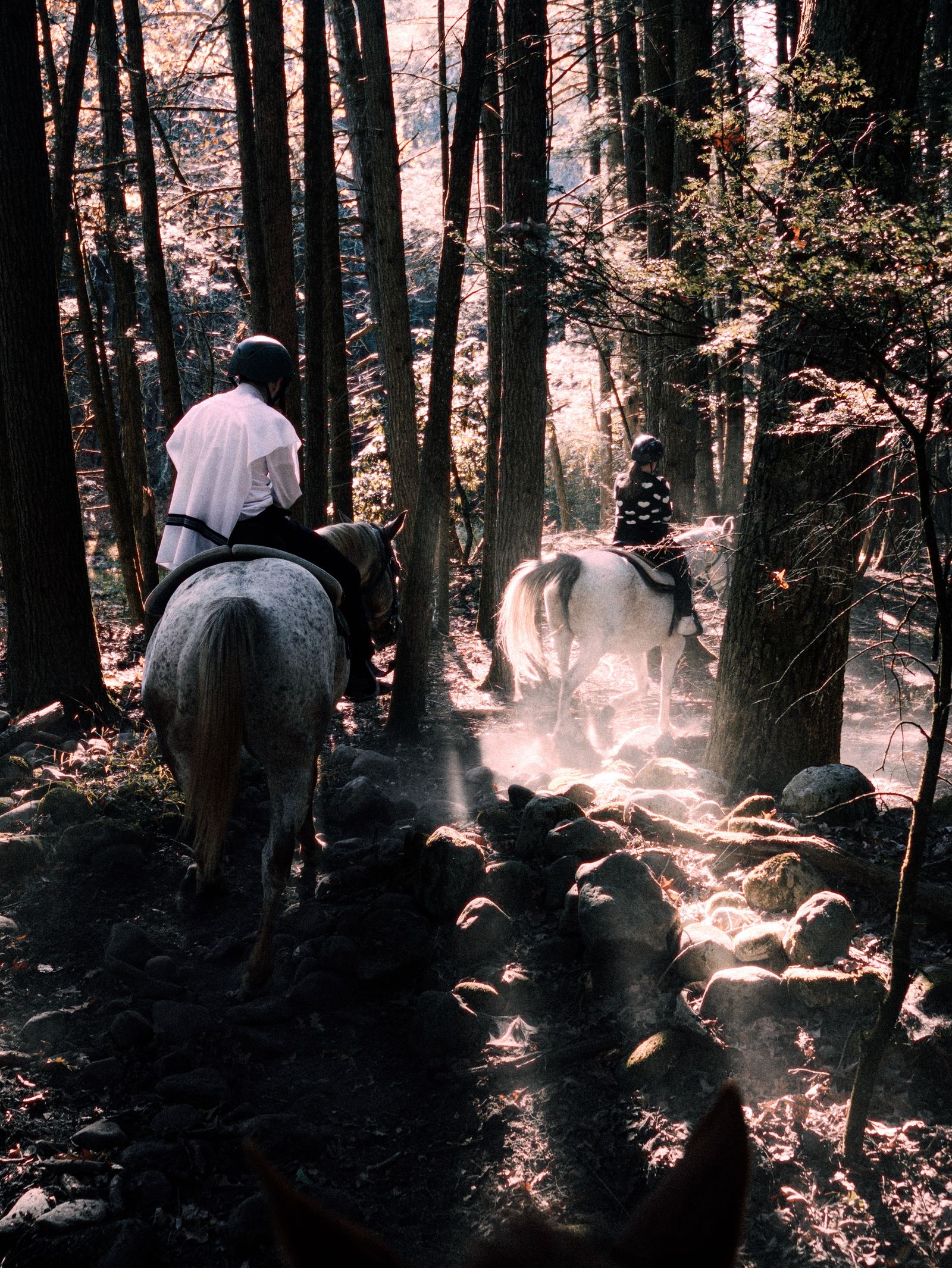 Horseback Rides