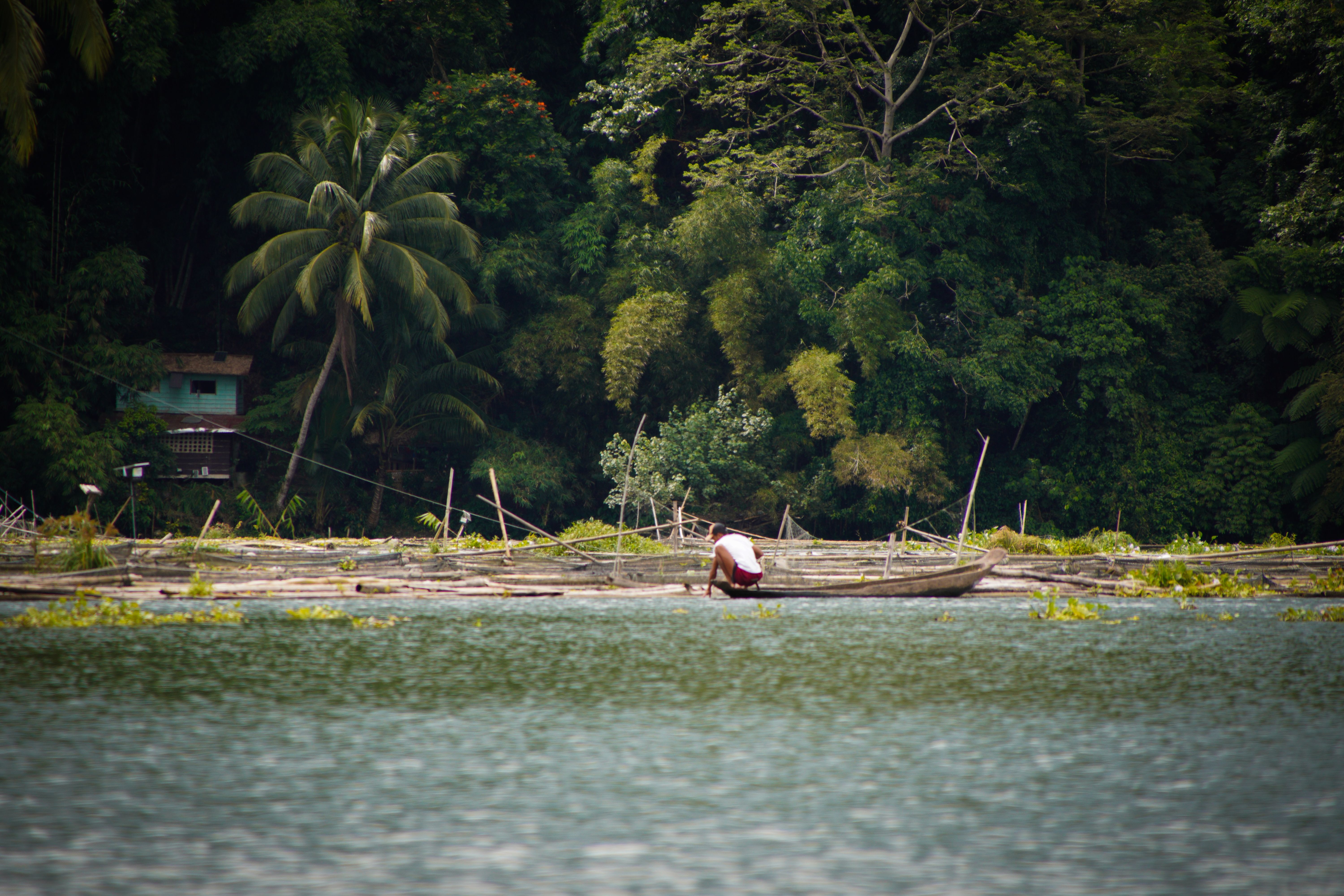 Chinese fishing nets over a canal at Kumbalangi with coconut palms and a wooden canoe
