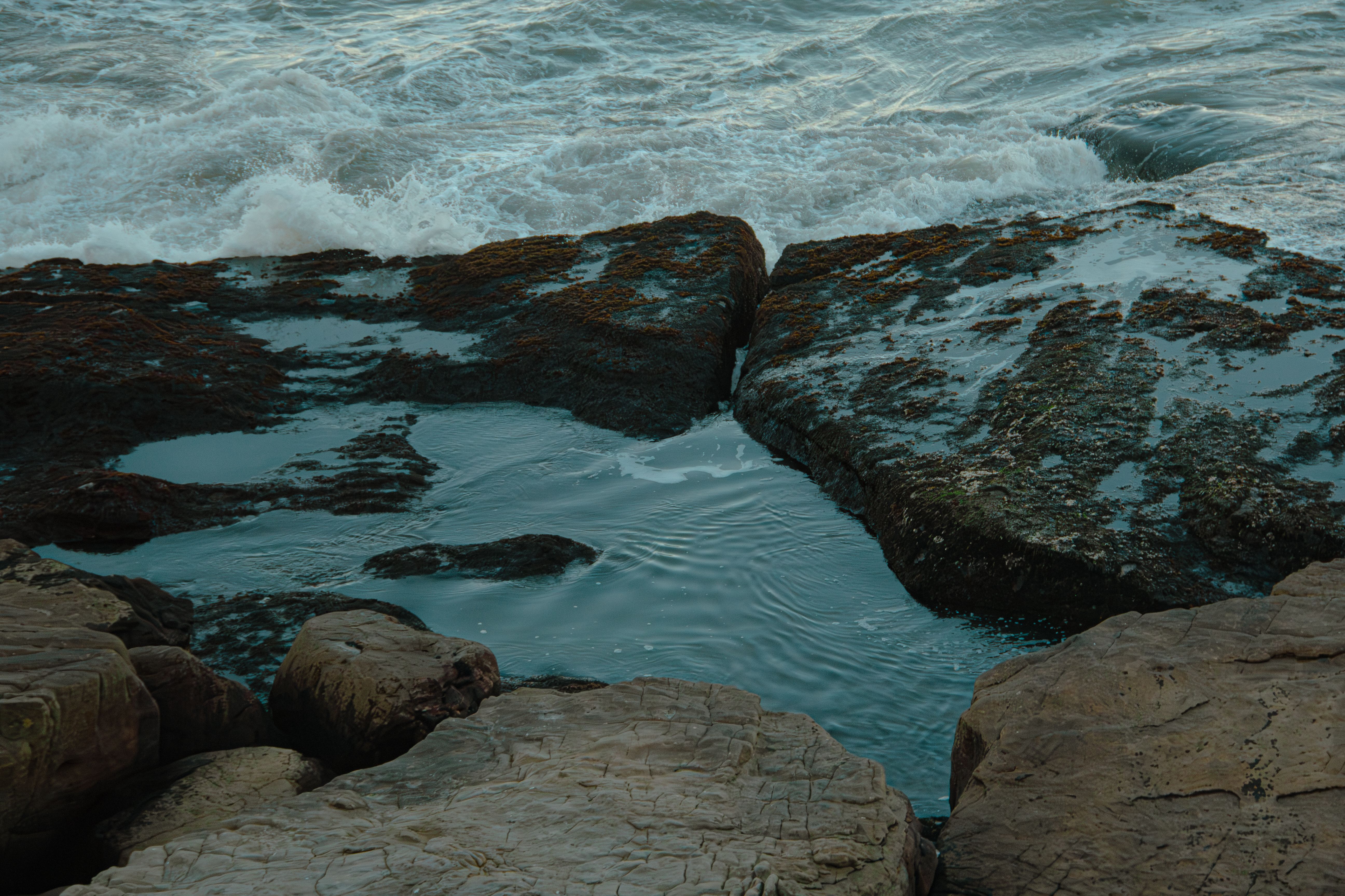 Tranquil scene of rocky seashore with tidal pool and gentle waves, perfect for nature lovers.. pexels, tranquil, scene