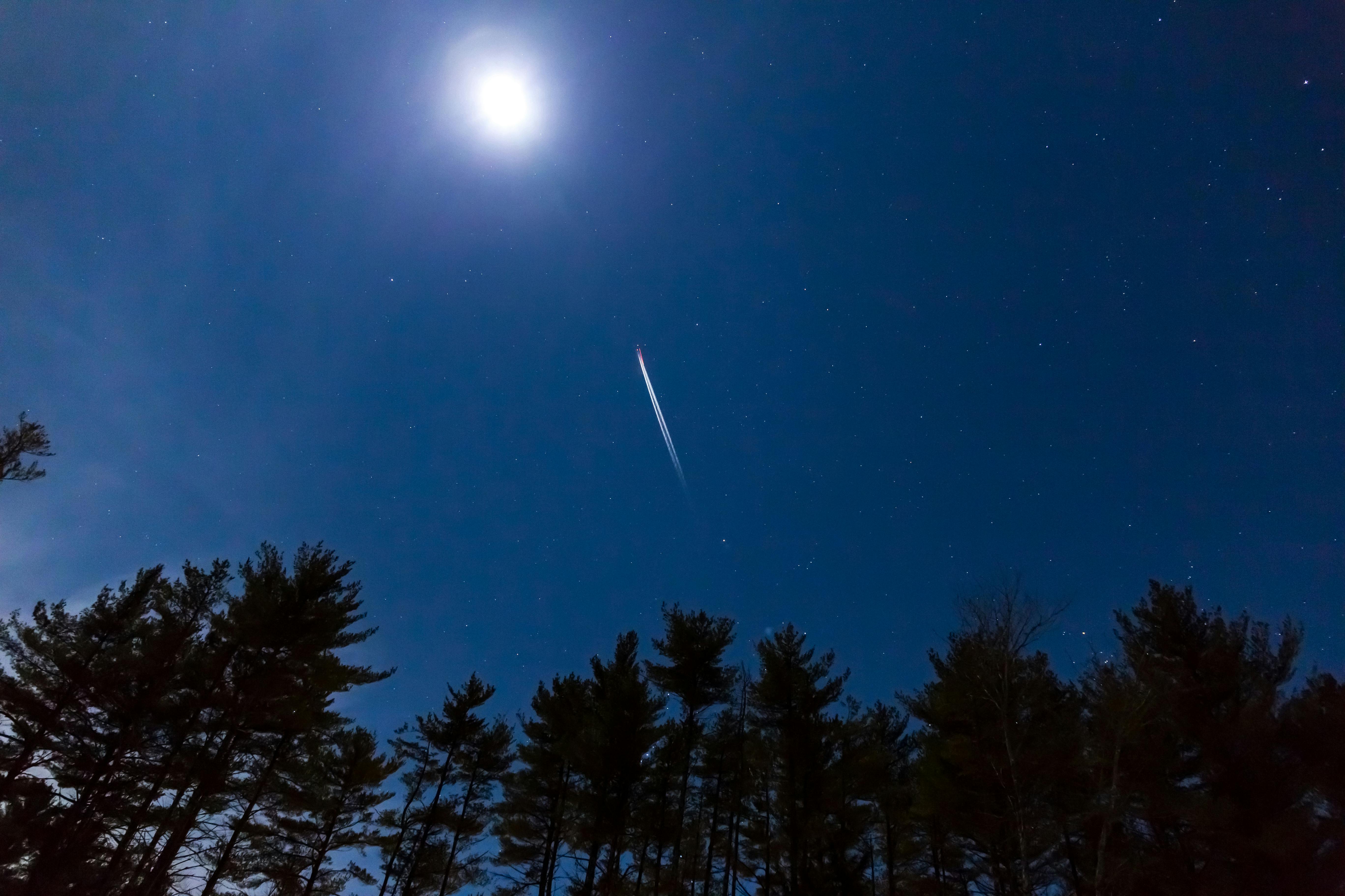 夜 星 月の無料の写真素材