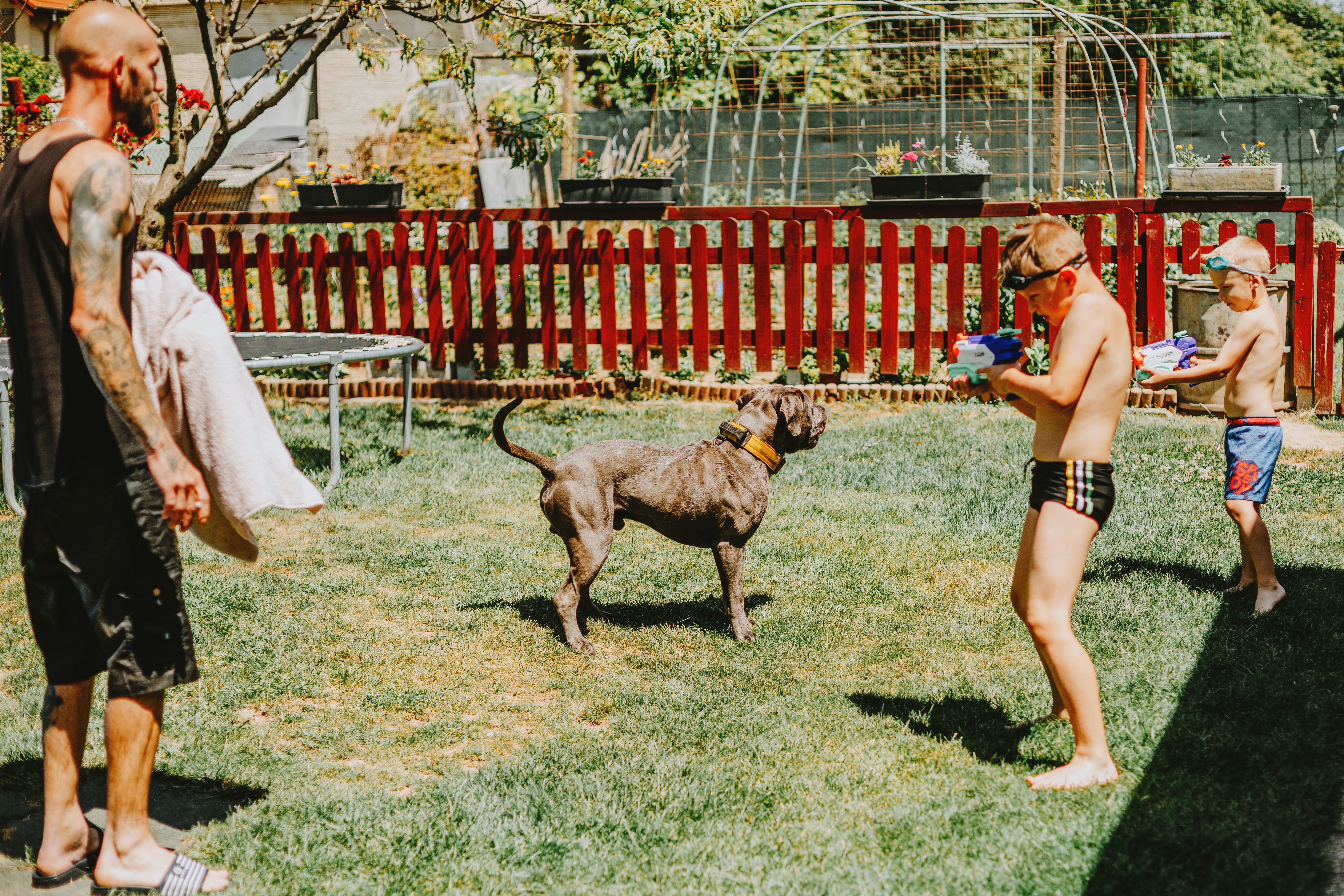 Traveller family who lived on boxer Billy Joe Saunders' land ordered to leave — Photo by Helena Jankovičová Kováčová on Pexel