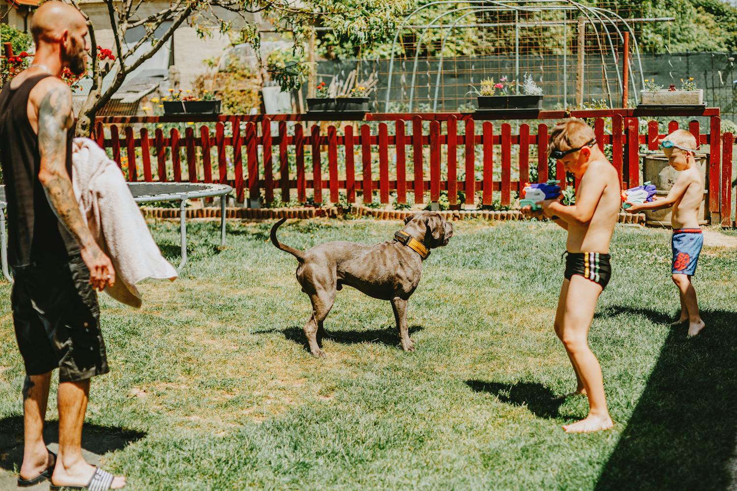 Family playing with dog in safe backyard