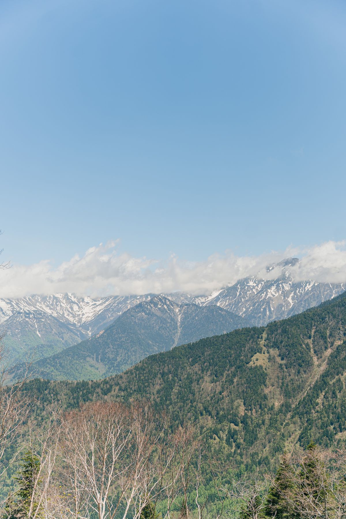 Scenic view of the Japanese Alps in spring with snow-capped peaks rising above green meadows