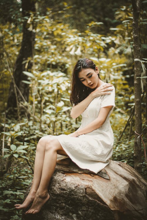 Free Photo Of Woman Sitting On Tree Stock Photo