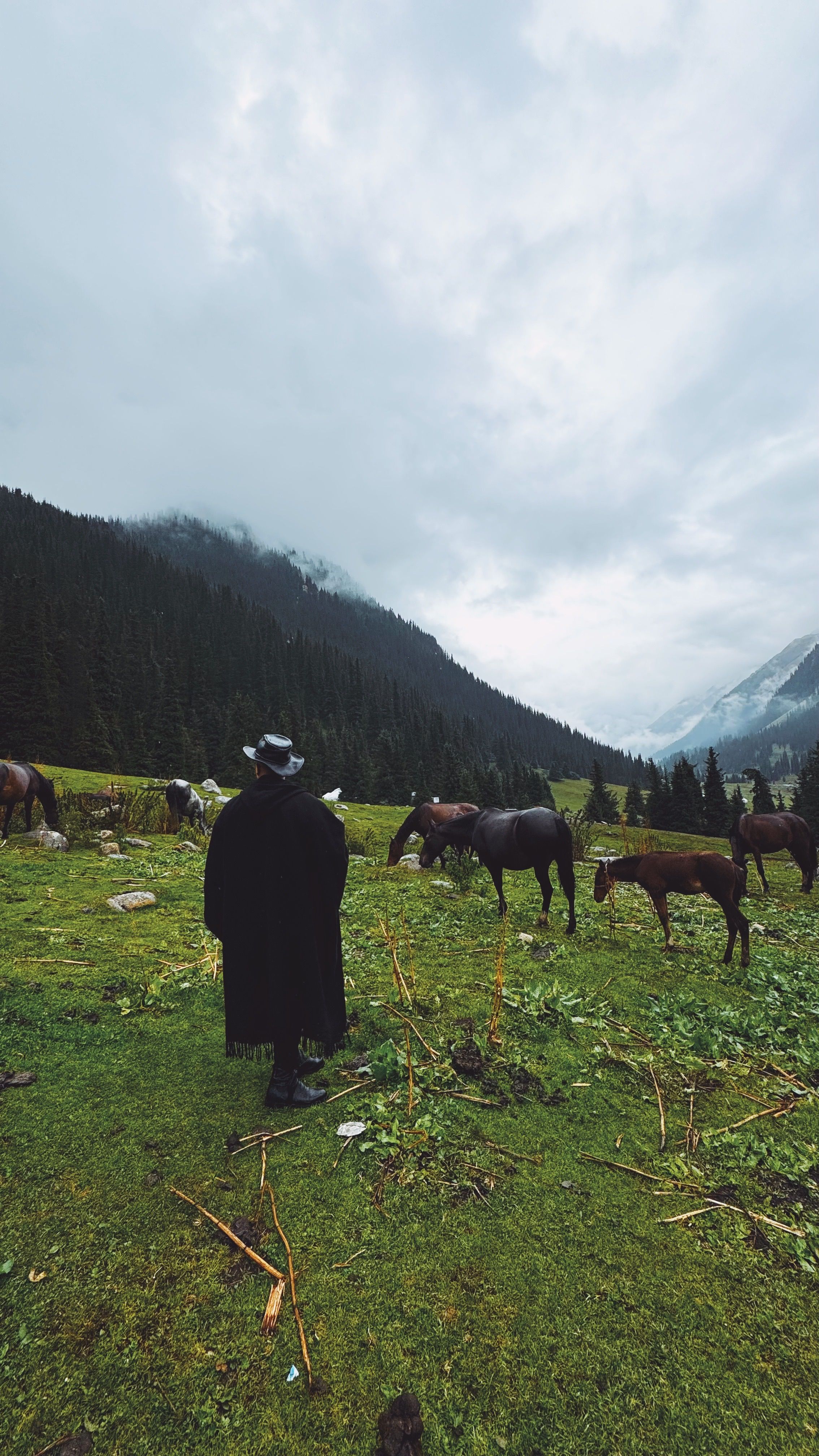 A shepherd herding horses in the scenic mountains of Kyrgyzstan under a cloudy sky.