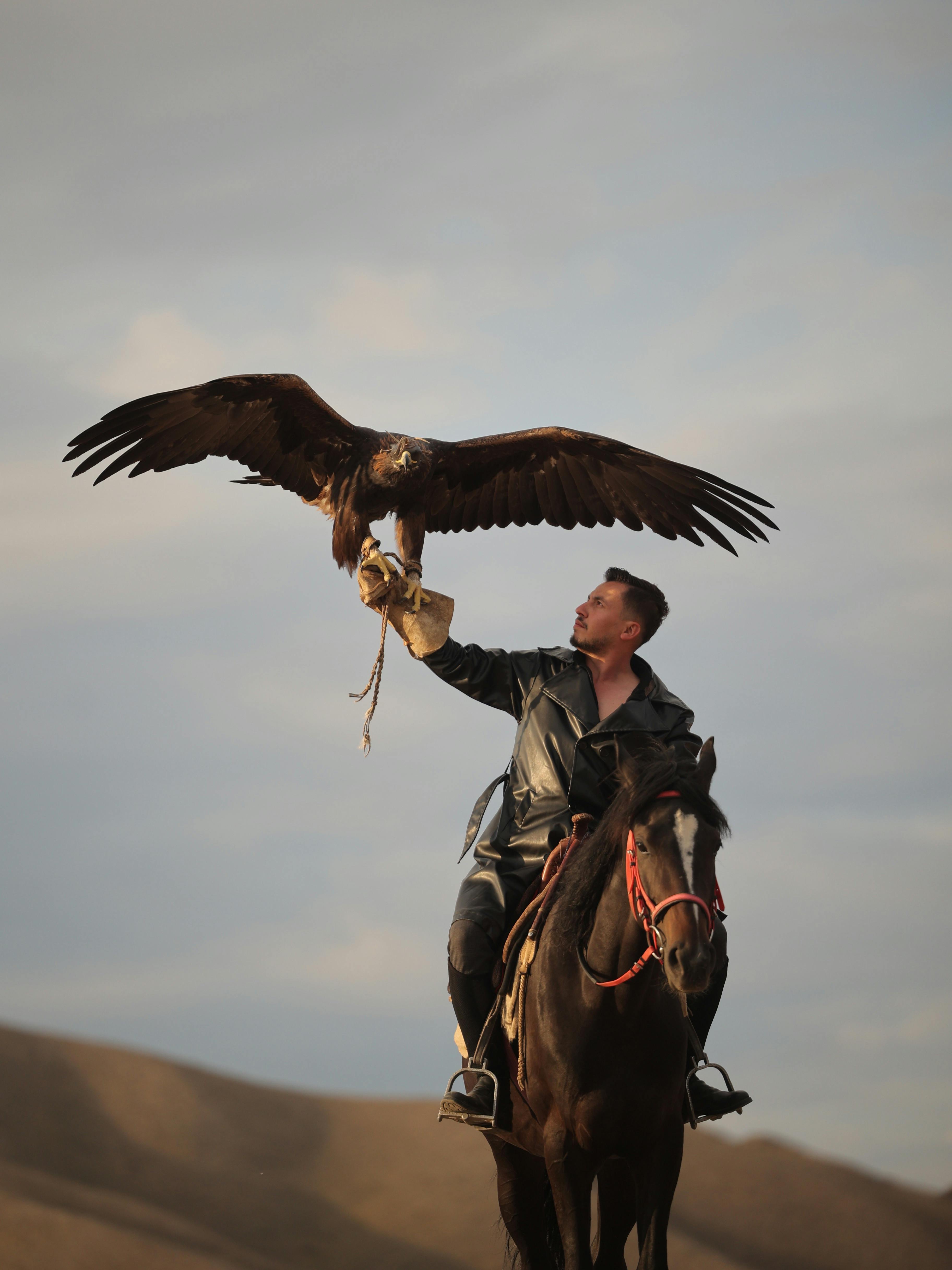 A Kyrgyz eagle hunter on horseback with a trained golden eagle in the mountains.
