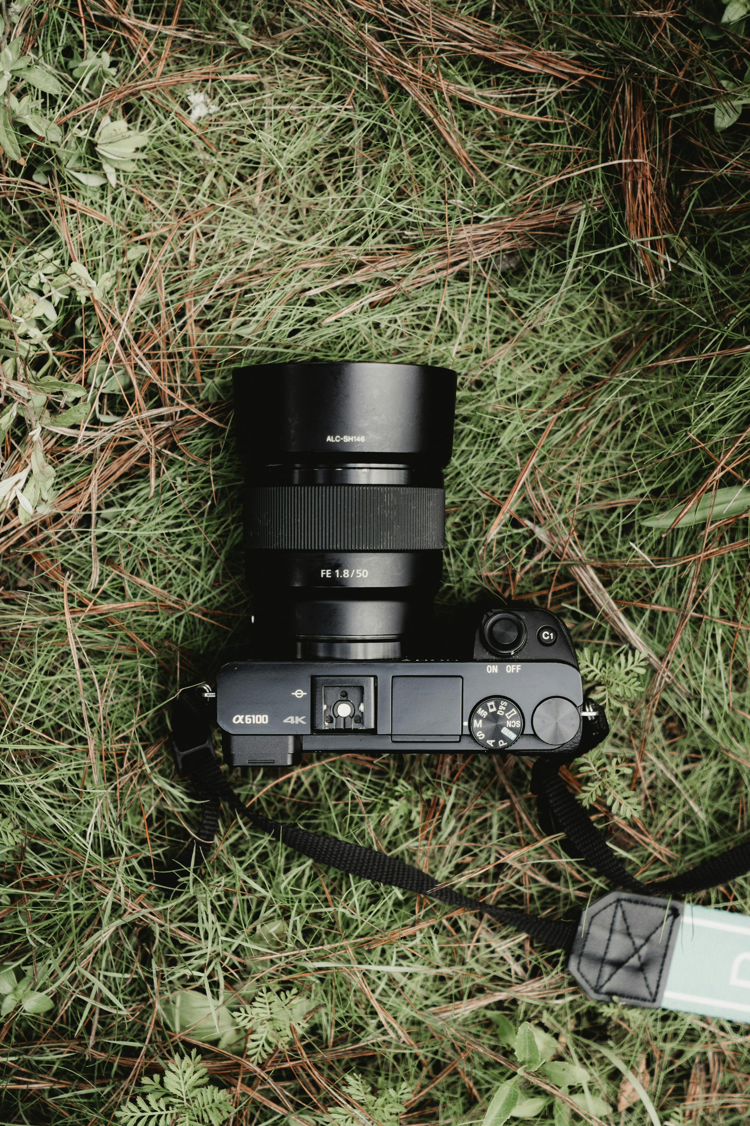 전해질 기능을 설명하는 이미지