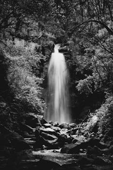 Black and white photo of a tranquil waterfall in a lush forest environment.