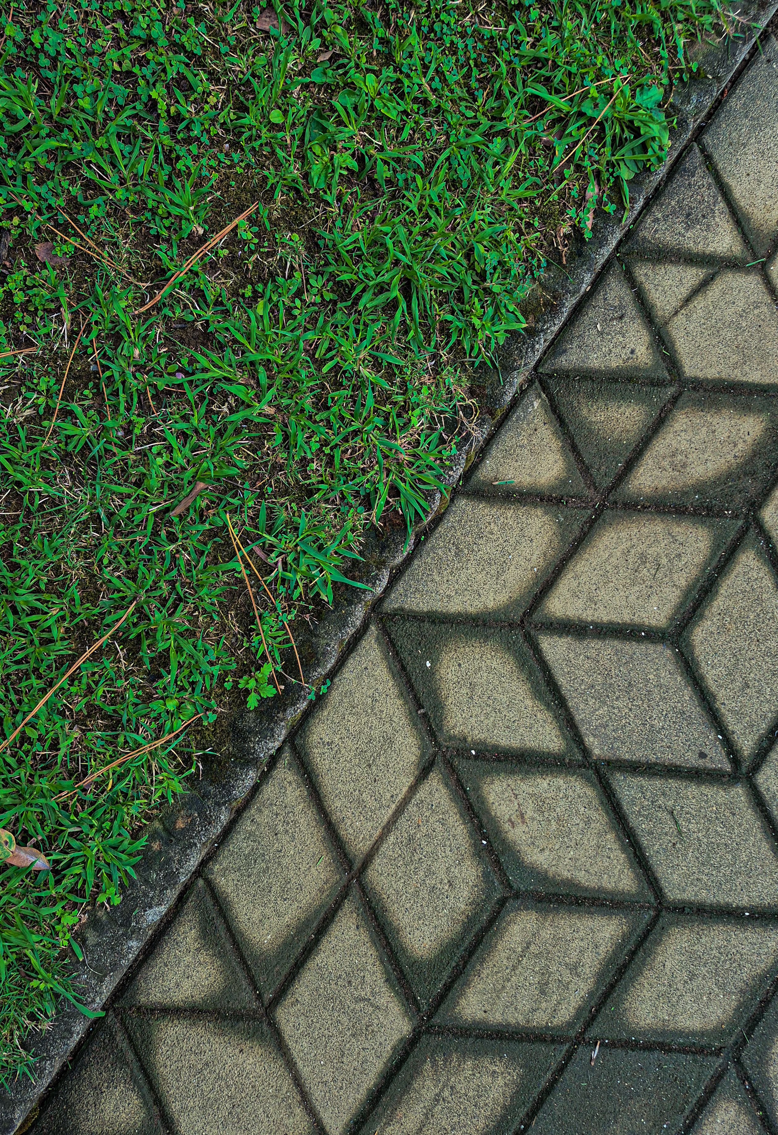 Gratis Contrasto astratto tra l'erba verde lussureggiante e il sentiero geometrico in pietra. Foto a disposizione