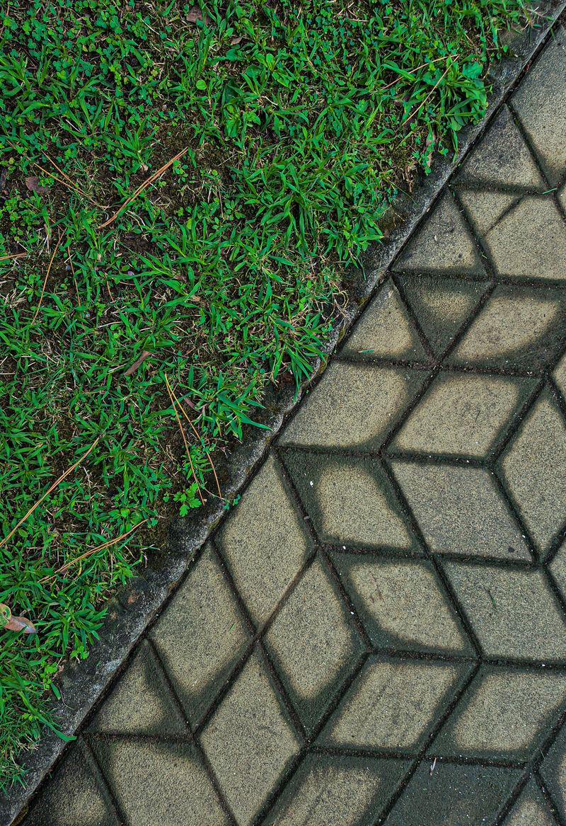 Geometric pattern of path and grass contrast in Pinelands