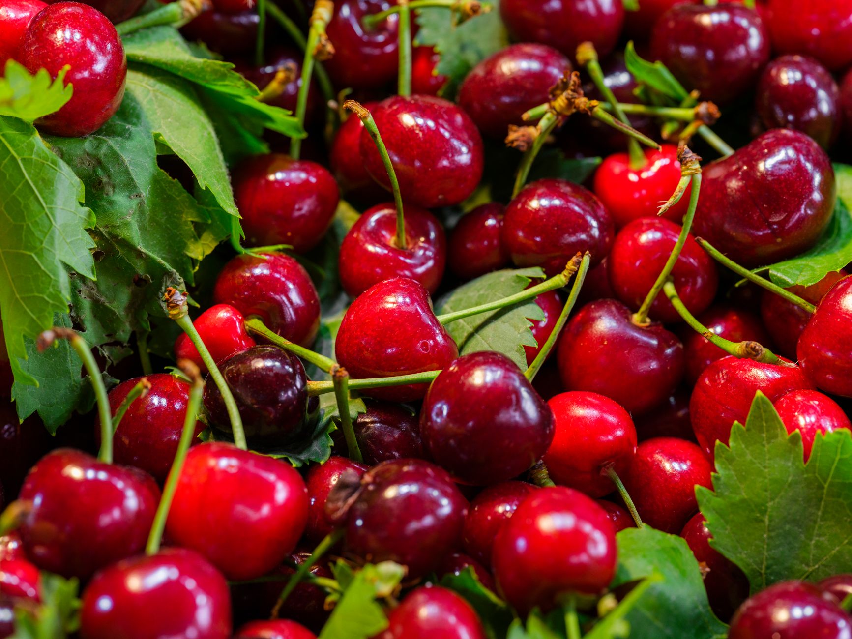 Cherry Origin Where Did Cherries Originate? - Chef's Resource