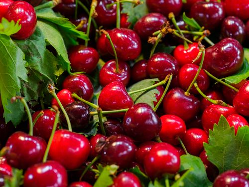 Free A closeup of ripe, red cherries and green leaves, showcasing freshness and natural beauty. Stock Photo