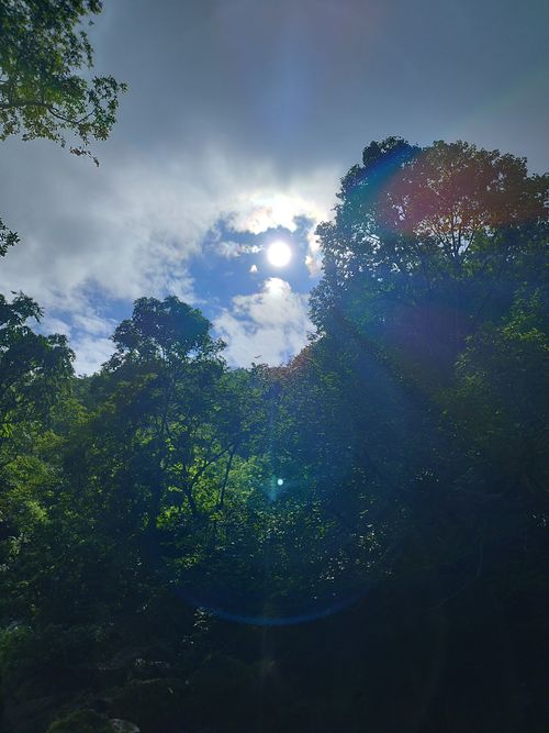 Free Sun sconce nature  Stock Photo