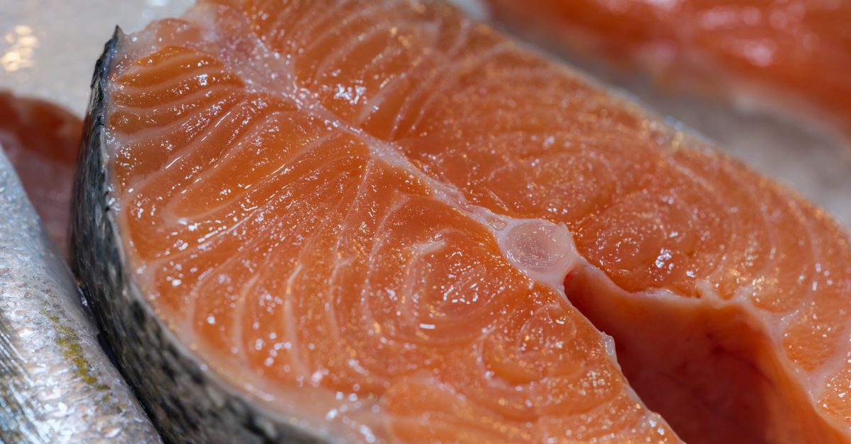 ¿Qué es el omega 3? ¿Qué es el omega 3?