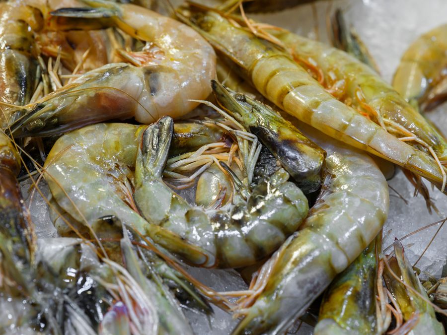 Black Tiger Shrimp