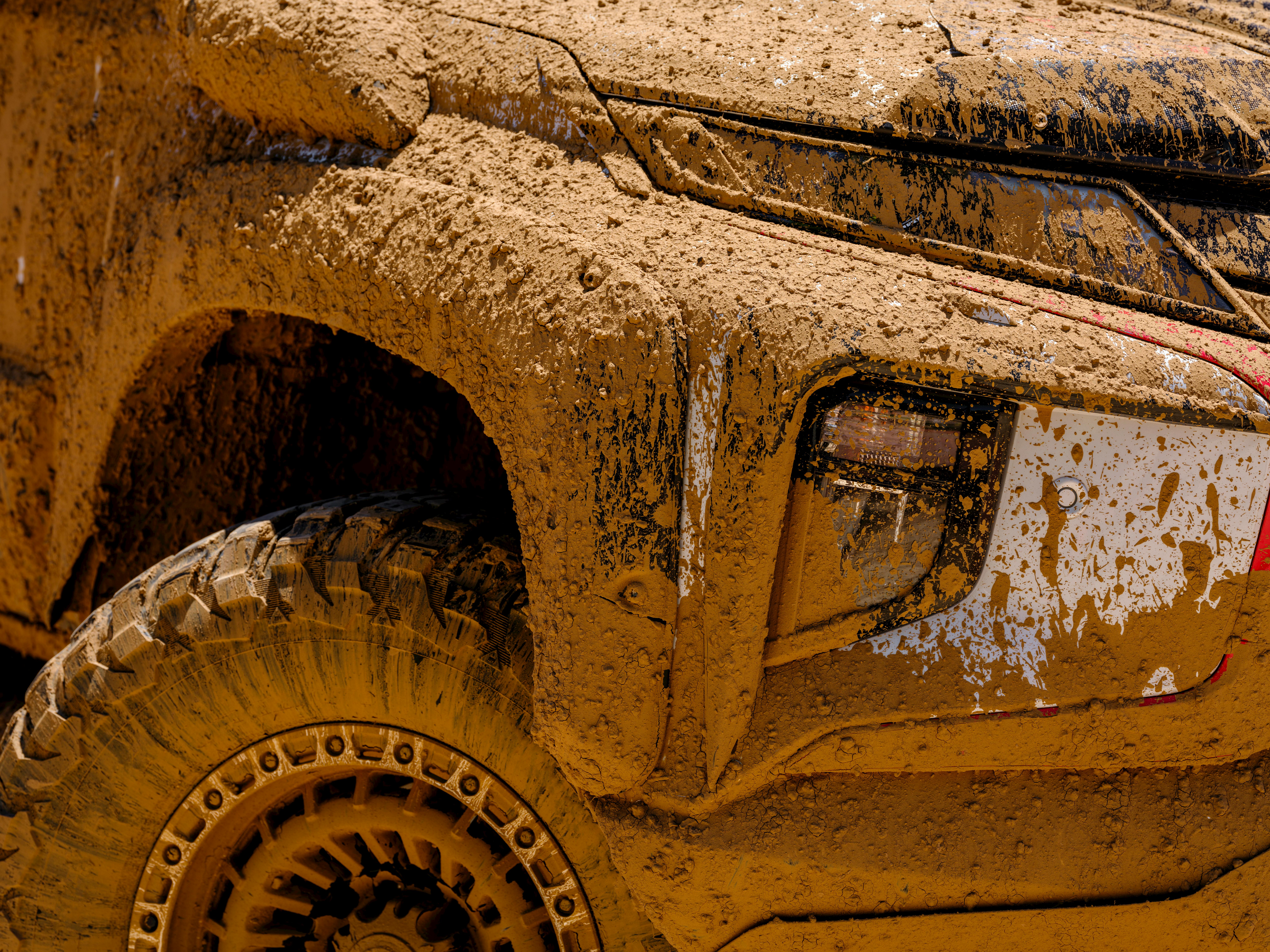 top gear reviews — Photo by Engin Akyurt on Pexels