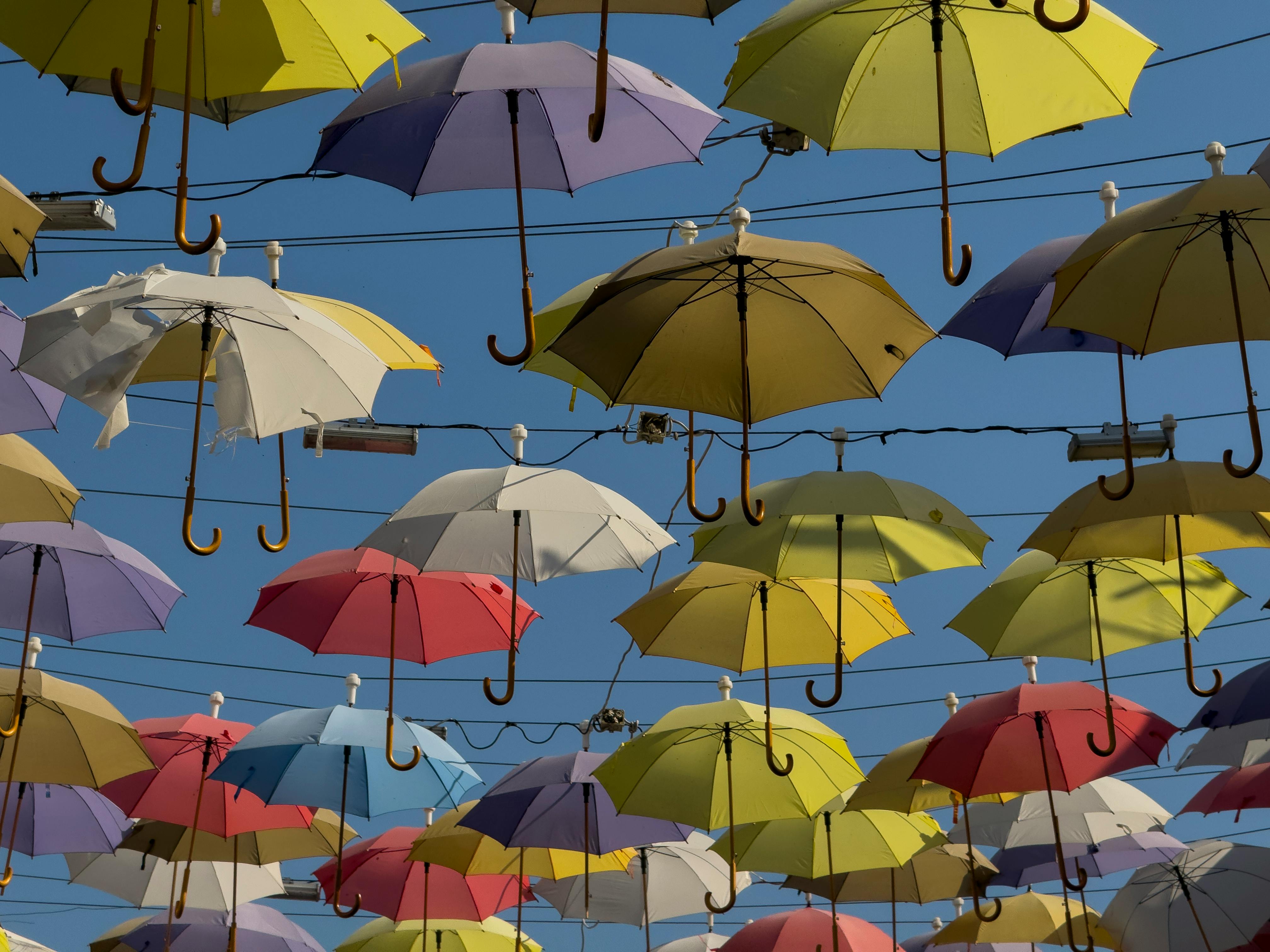 Resilience Is Essential: FM Launches New Insurance Policy for Manufacturers — Photo by Engin Akyurt on Pexels