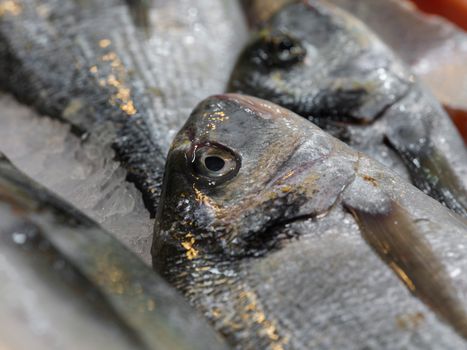 A detailed close-up of fresh fish on ice in a market setting, showcasing freshness and quality.