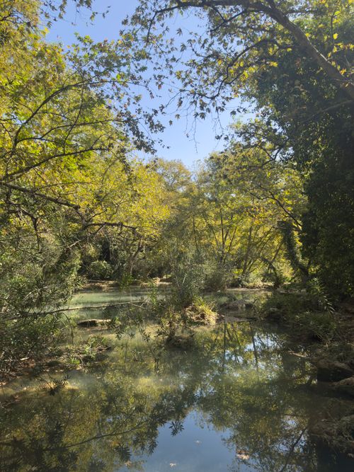 Free Explore a serene forest stream in Antalya, surrounded by lush green foliage and sunlight reflecting on the water. Stock Photo
