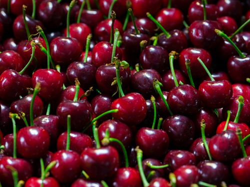 Free Close-up of fresh red cherries showcasing their vibrant color and natural appeal. Stock Photo