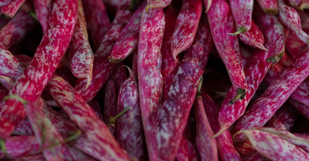 Les Légumes à Cultiver en Fonction de Chaque Saison