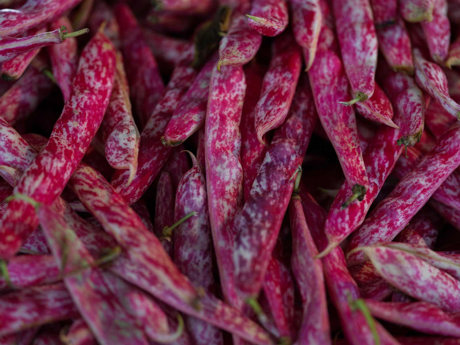 Green and Red String Beans · Free Stock Photo