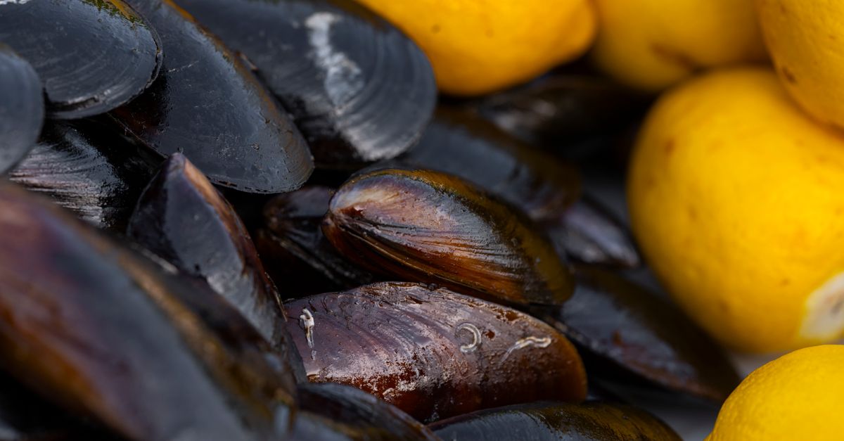 Les Meillesures Techniques pour Cuire les Fruits de Mer Parfaits