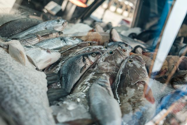 Étal de poissons frais sur glace chez un poissonnier à Bordeaux