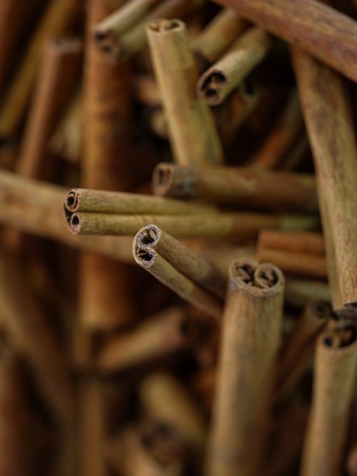 Free Detailed view of aromatic cinnamon sticks, perfect for culinary and spice-related concepts. Stock Photo