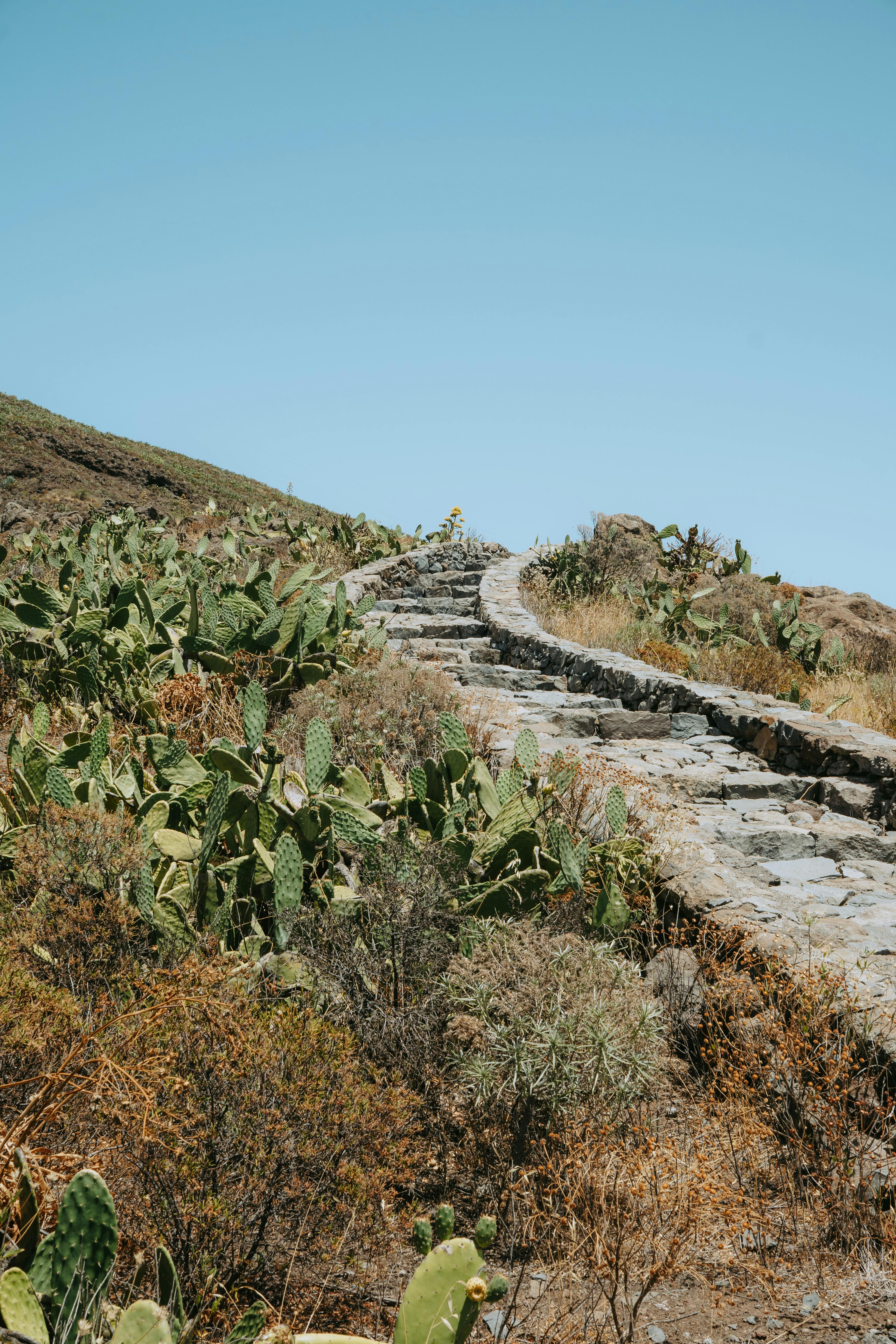Correo Institucional Meduca: ¿Cómo Mejorar Tu Comunicación Escolar? 5 La Guía Definitiva para Usar el Correo Institucional Meduca: 8 Herramientas que Transformarán tu Comunicación Educativa