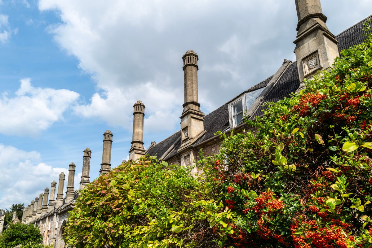 student moves in Hayle — Student Moves in Hayle — the working end of the job