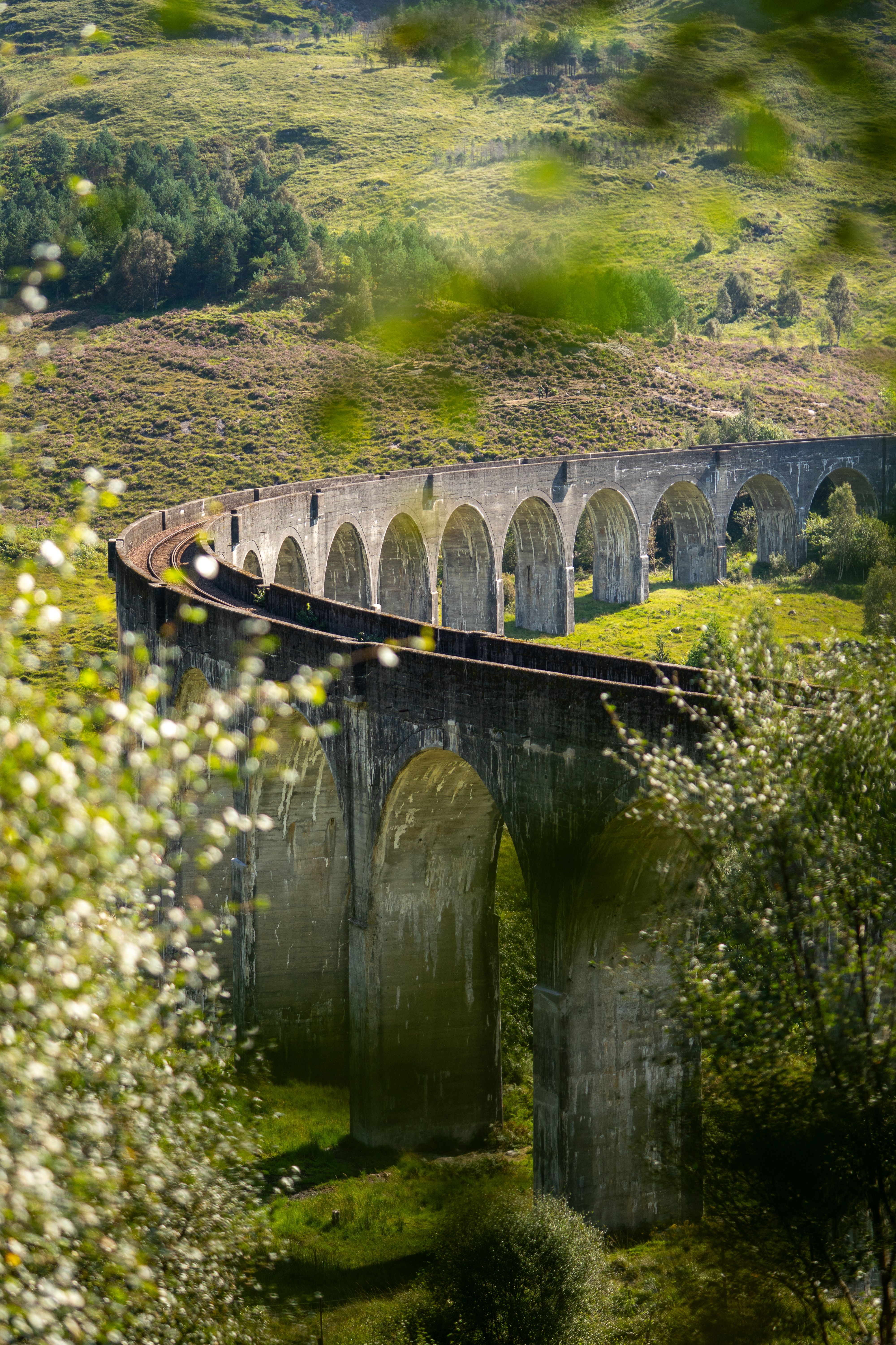 Iconic Glenfinnan Viaduct amidst lush green hills in Scotland.